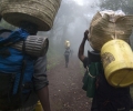 Porteurs entre Machame Gate et Machame Camp (1800 - 3000 m d'altitude) - Ascension du Kilimandjaro - Tanzanie