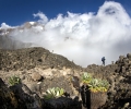 De Shira Camp (3840 m) à Barranco Camp (3950 m) - Ascension du Kilimandjaro - Tanzanie