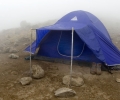 Barranco Camp (3950 m) - Ascension du Kilimandjaro - Tanzanie