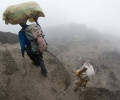 De Barranco Camp ( 3950 m) à Barafu Camp (4600 m) - Ascension du Kilimandjaro - Tanzanie