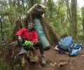 Descente du Kilimandjaro par Mweka route - Tanzanie