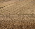 B070155