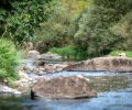 _ABI2856