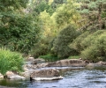_ABI2872