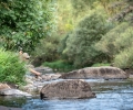 _ABI2876