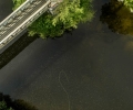 DJI_0281