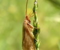 P6040170