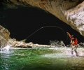 Verdon