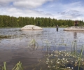 _ZZD0642.jpg