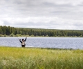 _ZZD0719.jpg