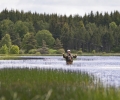 _ZZD0735.jpg