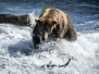 Alaska