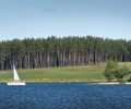 _ZZD9568
