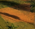G102312