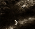 _G102317a