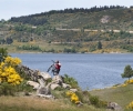 _ZZD9377.jpg