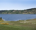 _ZZD9405.jpg