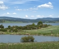 _ZZD9436.jpg