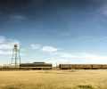 _DSC4194b