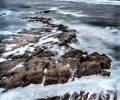 _SAM2256