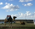 _SAM2401