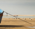 _SAM2622