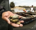 _SAM2687