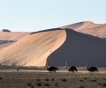 P1090065