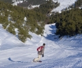 _AAA5902.jpg