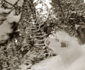 DSC_0696b.jpg