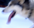 _aaa6910